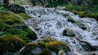 Water flowing in a river.