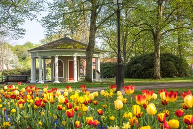 Pavilion in park with colorful tulips and lush green trees.