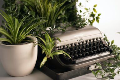 A typewriter surrounded by plants on a white desk